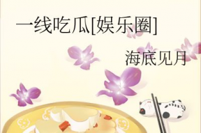 一线吃瓜娱乐圈 小说,揭秘明星背后的秘密与真相