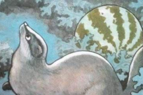 娱乐吃瓜猹,揭秘“吃瓜猹”背后的故事